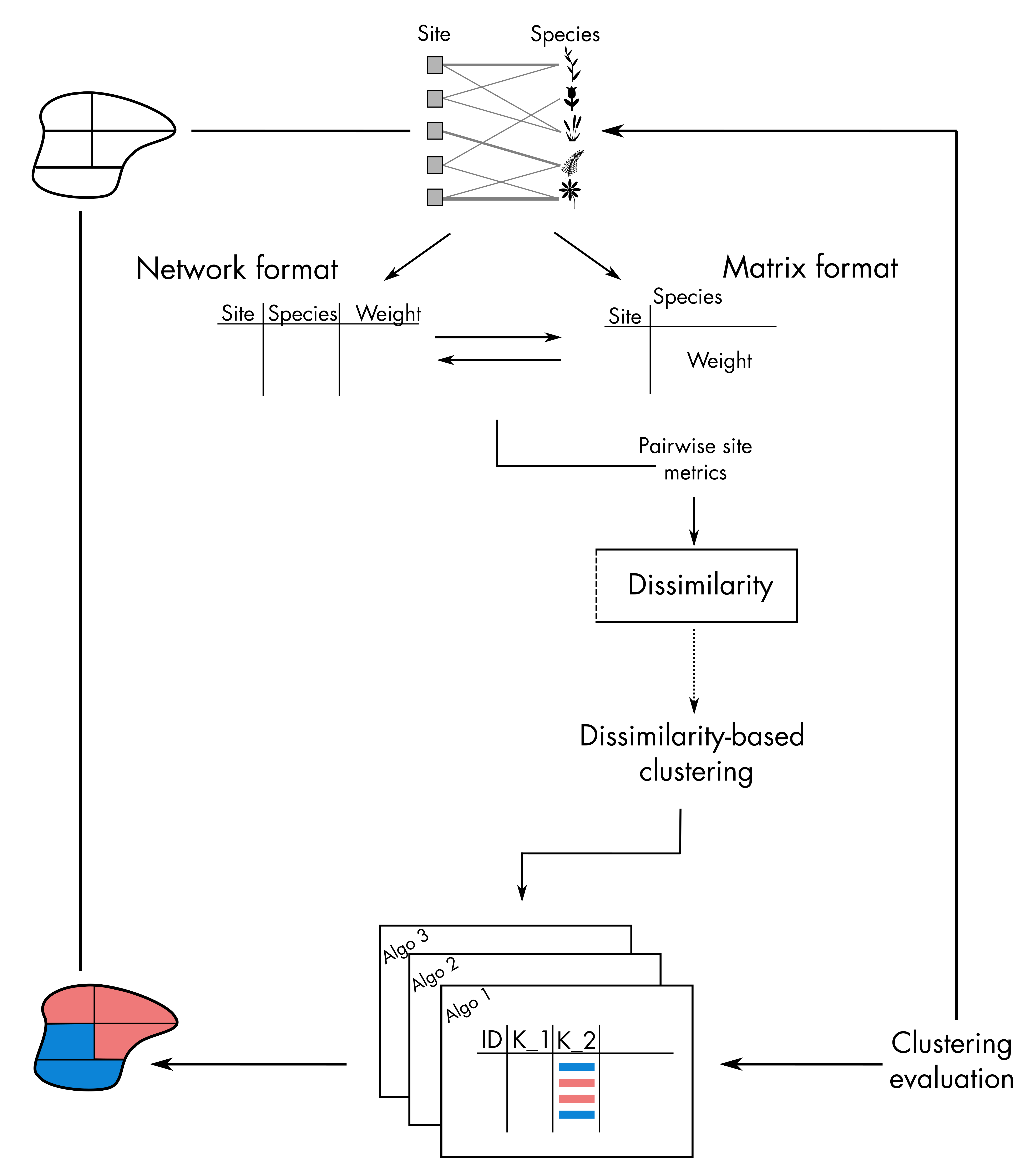 Workflow of the bioregion package for hierarchical clustering.